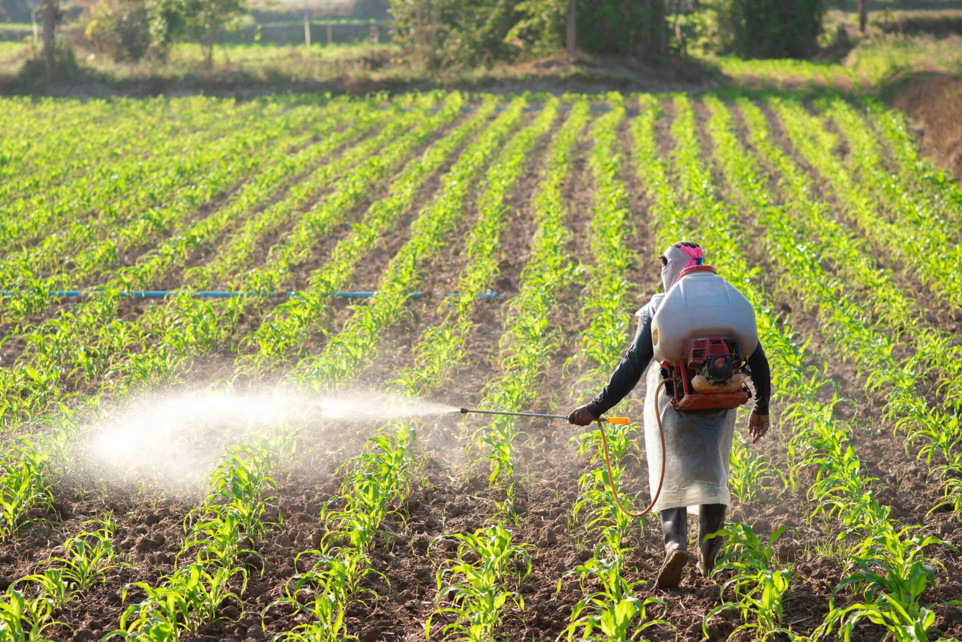 Farm Chemical Exposure